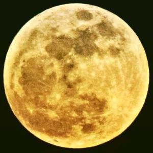 Meet your Posher, Immanuel